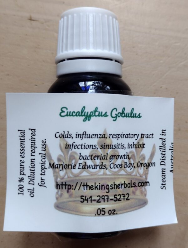 Eucalyptus/Globulus Essential Oil - Image 2